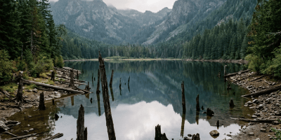 Realistic Gumboot Lake with exposed shoreline